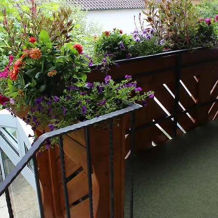 Bodensee Bermatingen